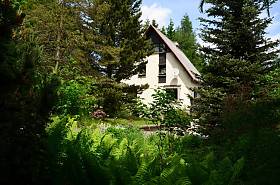 Bild 1 wird geladen...